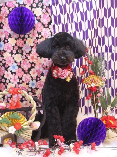 20250105アロちゃん